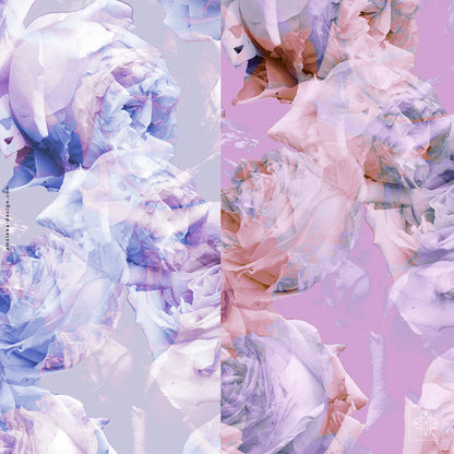 Roses Pastel 310125A Seamless Pattern