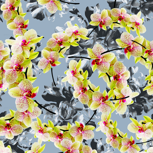 Orchid Crockus 270125A Seamless Pattern