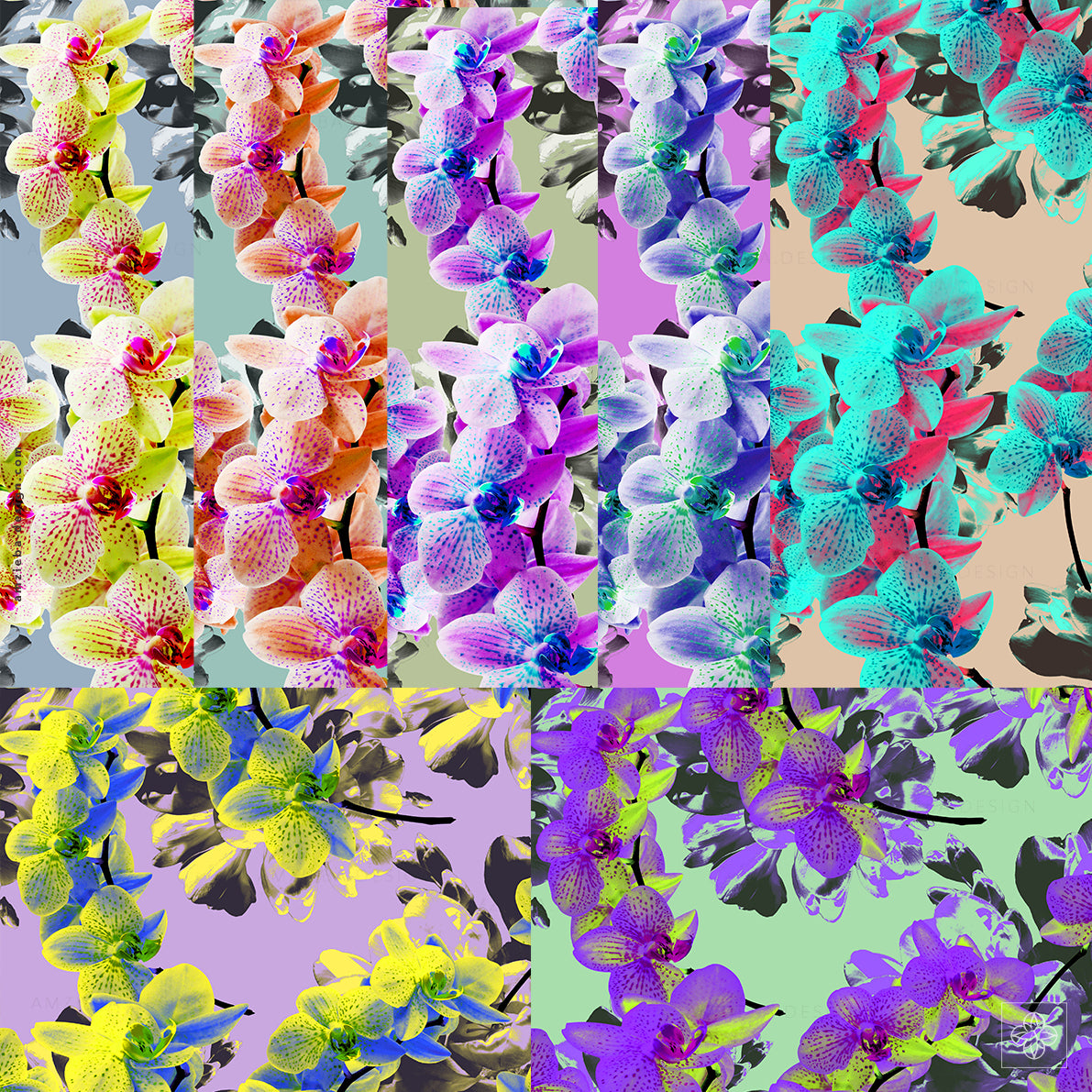 Orchid Crockus 270125A Seamless Pattern