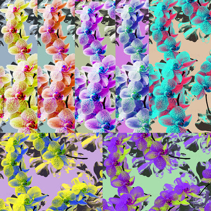 Orchid Crockus 270125A Seamless Pattern